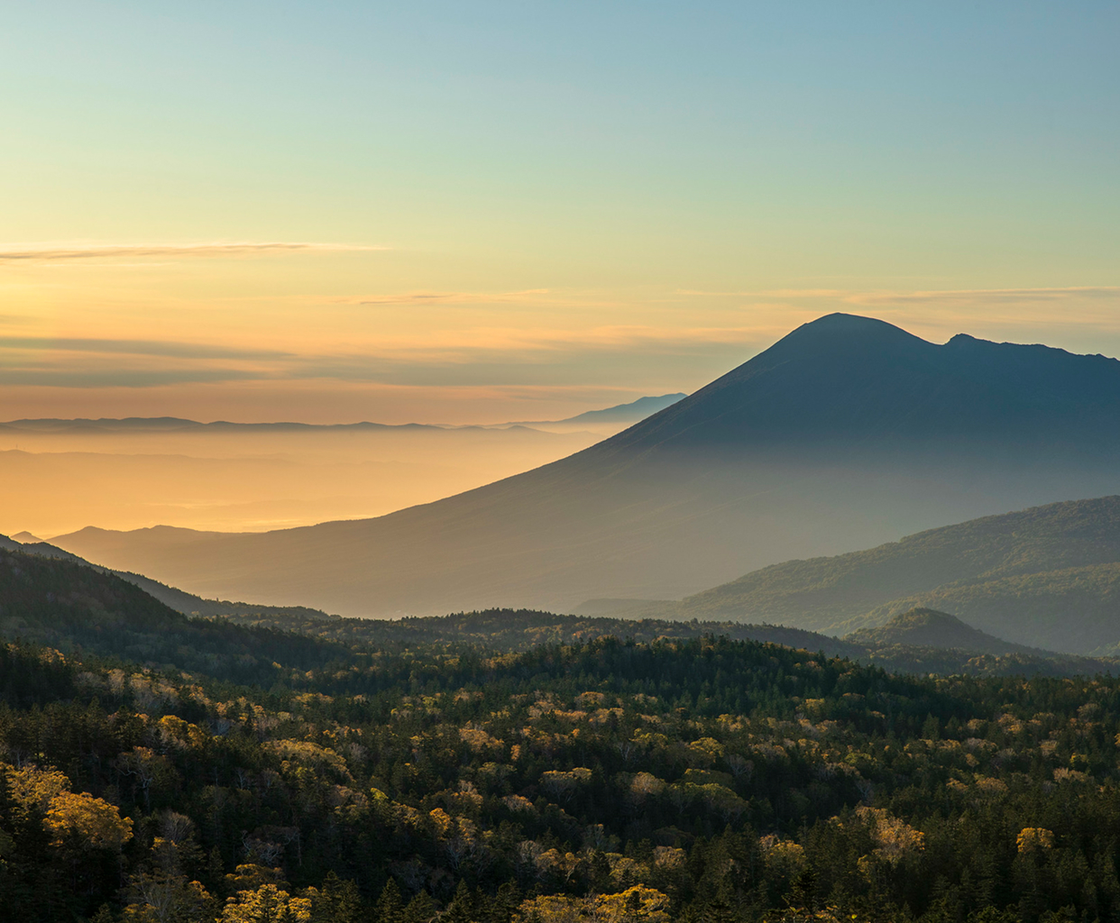 特定目的会社（SPC）監査