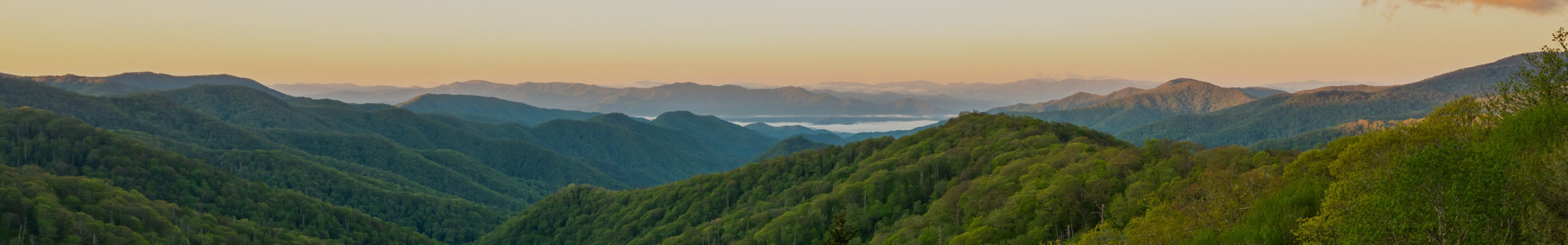 下層ページタイトルヘッダー